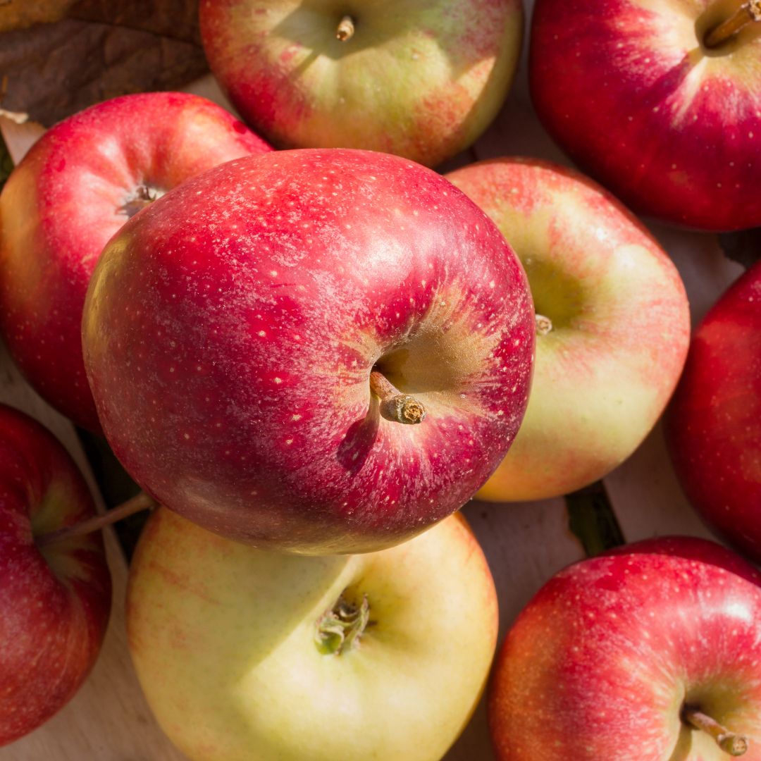 - Apples Red Gala - Certified Organic Apples 500g