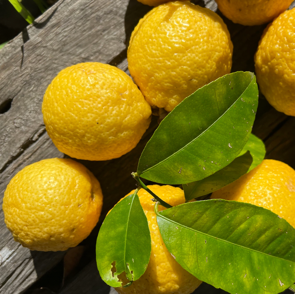 - Lemon Bush 500g - Certified Organic Lemons 500g