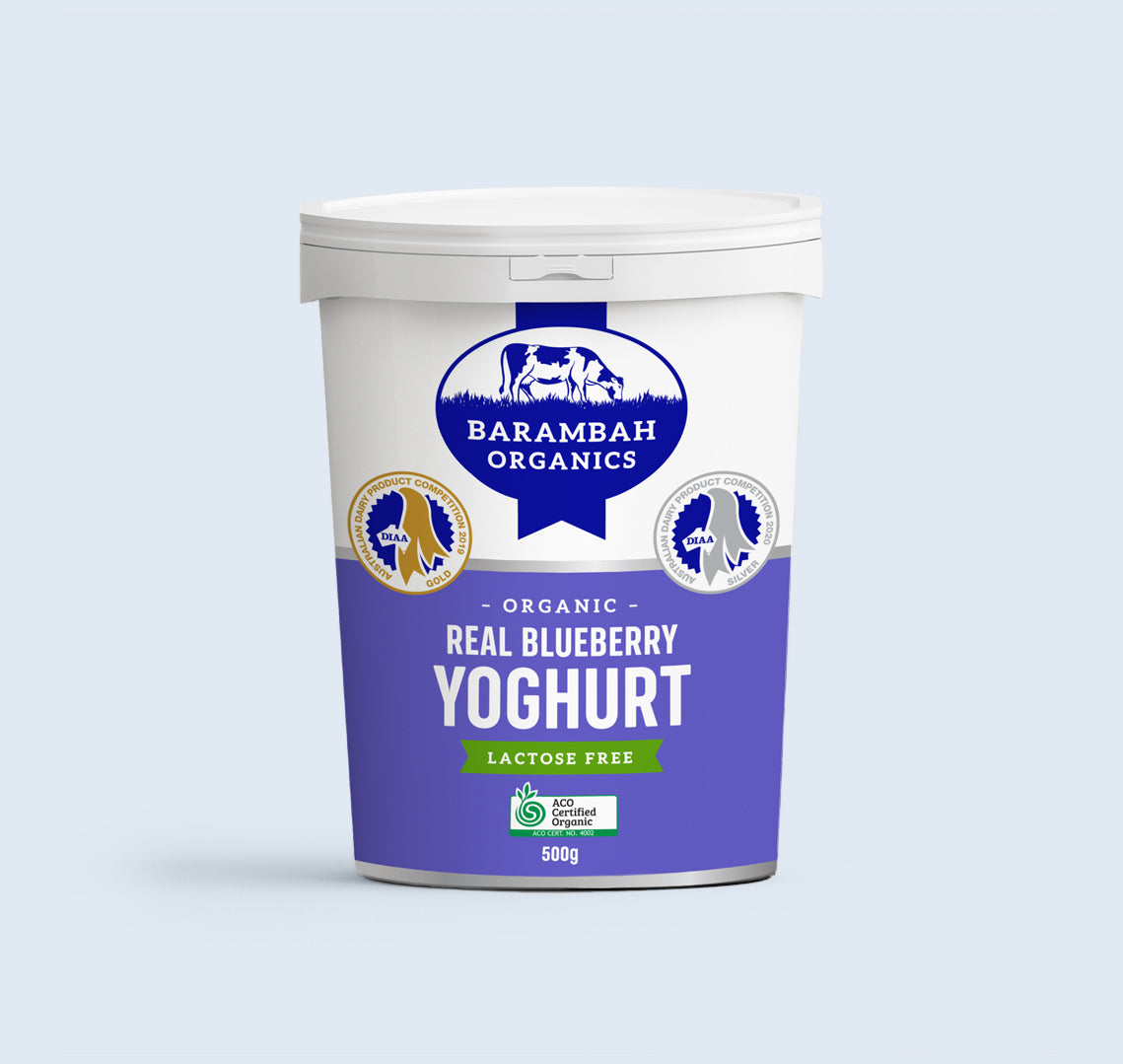 Organic Yoghurt – Blueberry 500g Barambah *LACTOSE FREE