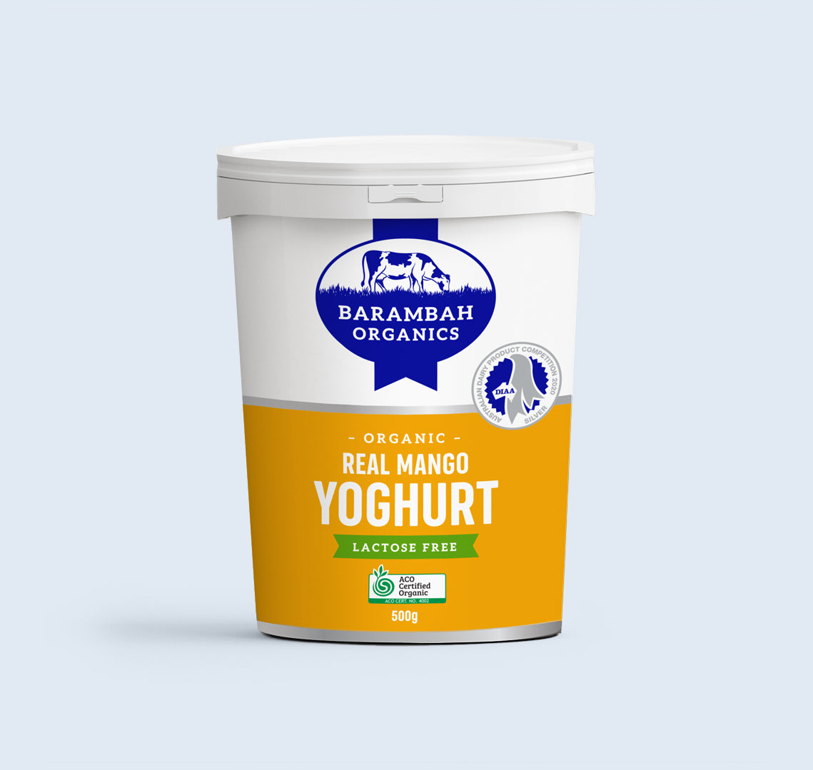 Organic Yoghurt – Mango 500g Barambah *LACTOSE FREE