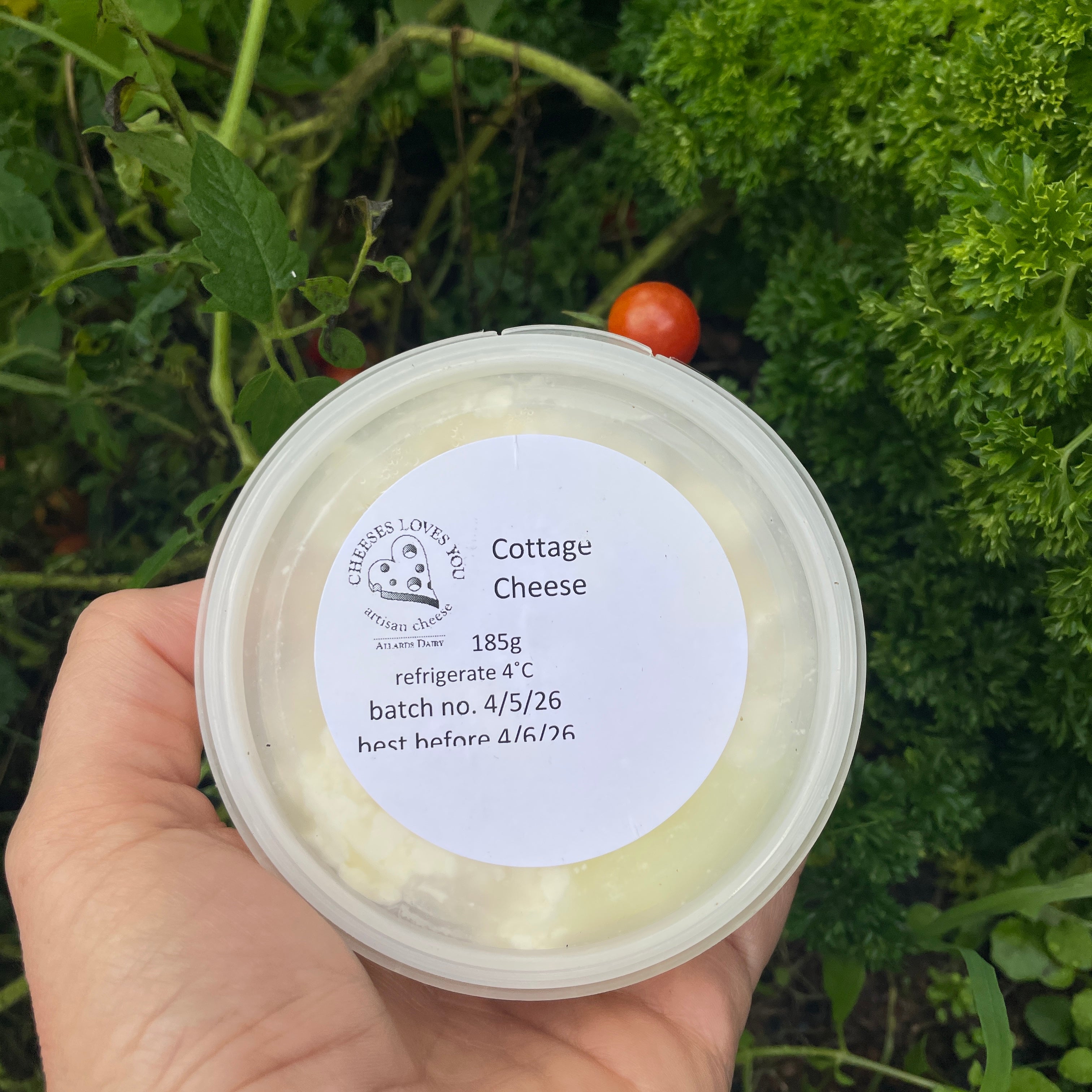 Cottage Cheese - Cheeses Loves You Local Dairy