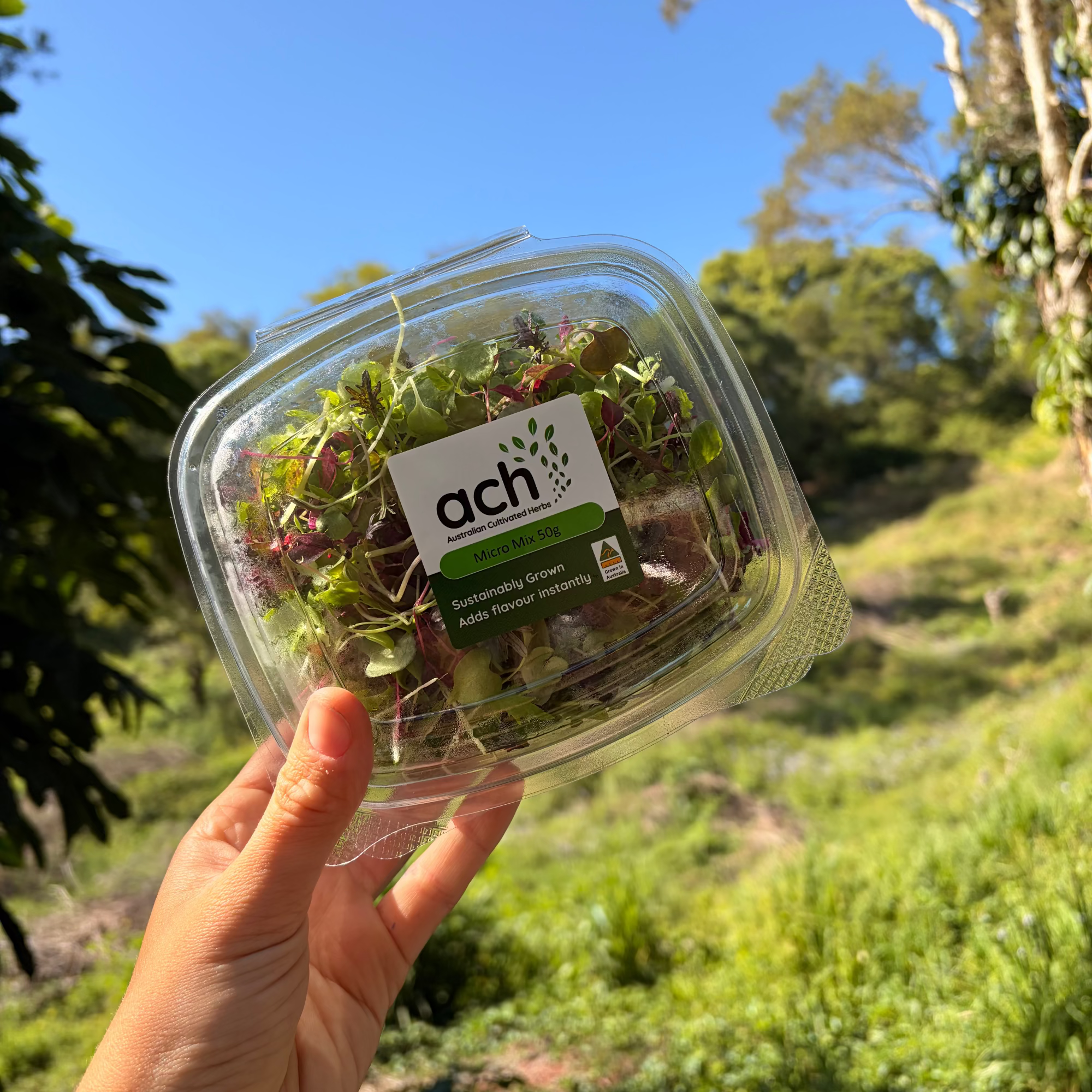 Micro Mixed Herbs MICRO (NEW) - Australian Cultivated Herbs 50grams