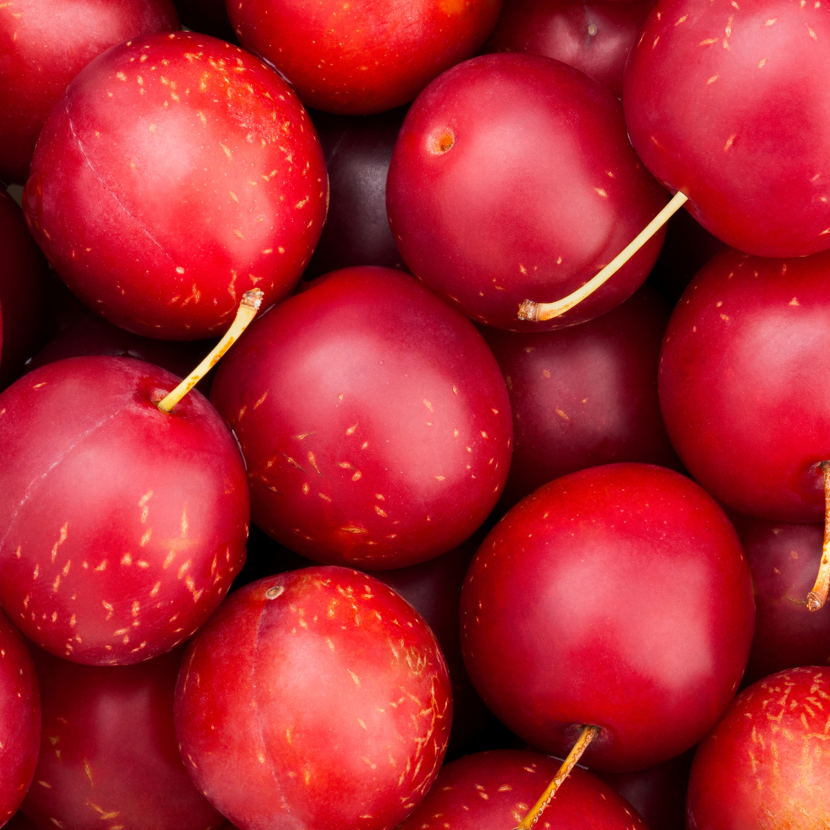 - Cherry Plums  - Organic Plums 400g