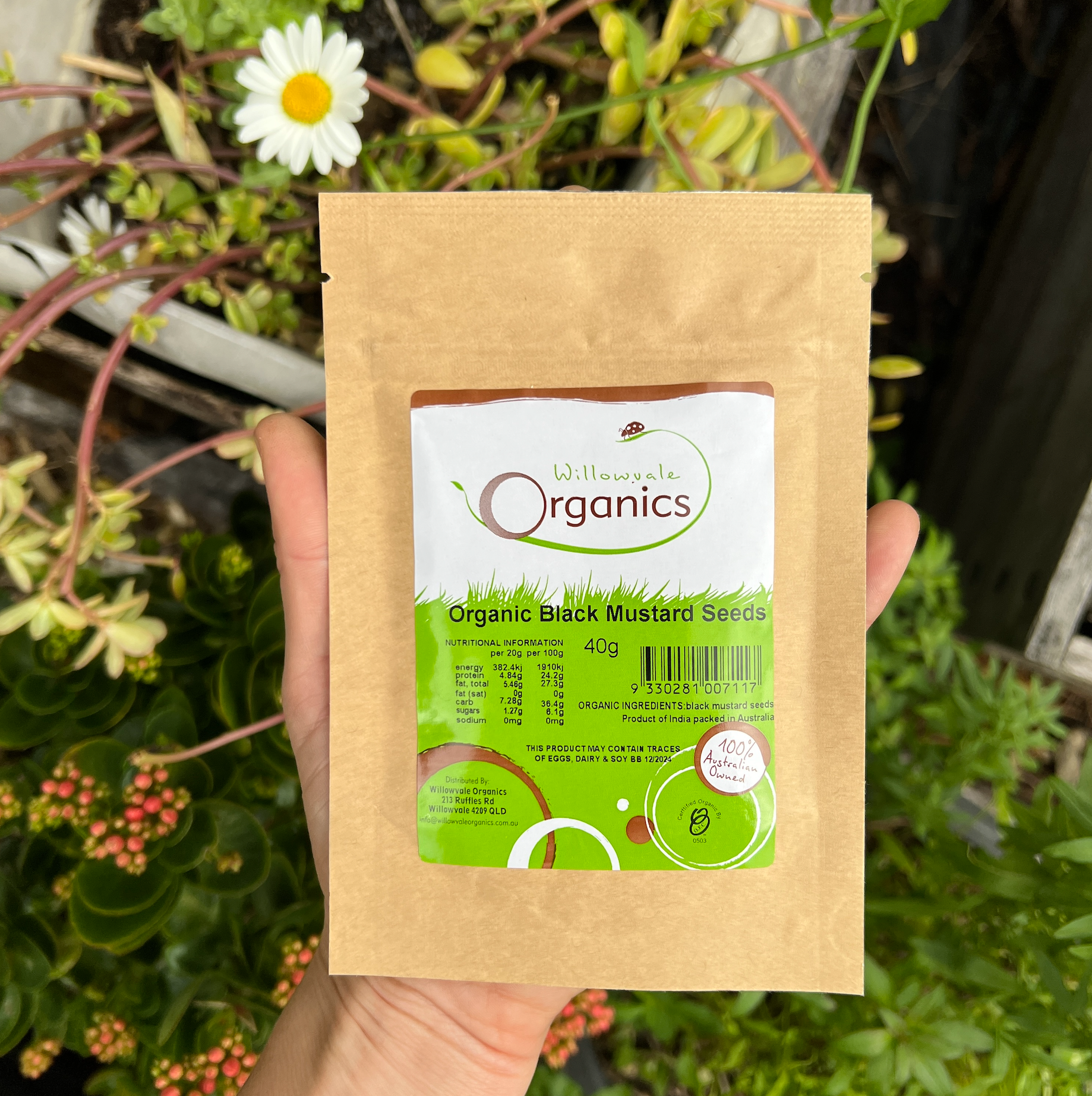 Certified Organic Black Mustard Seeds 40g