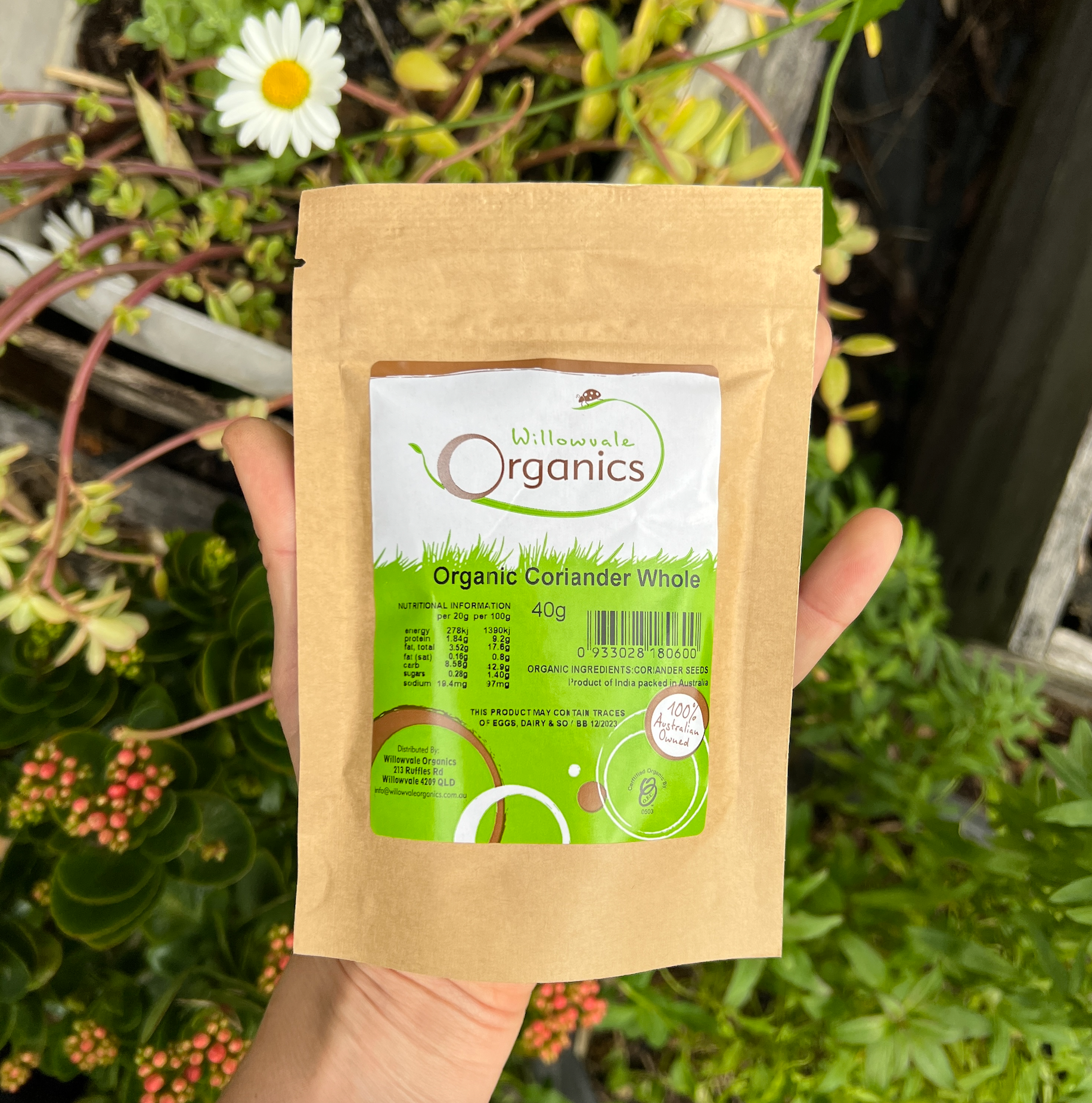 Certified Organic Whole Coriander Seeds 40g