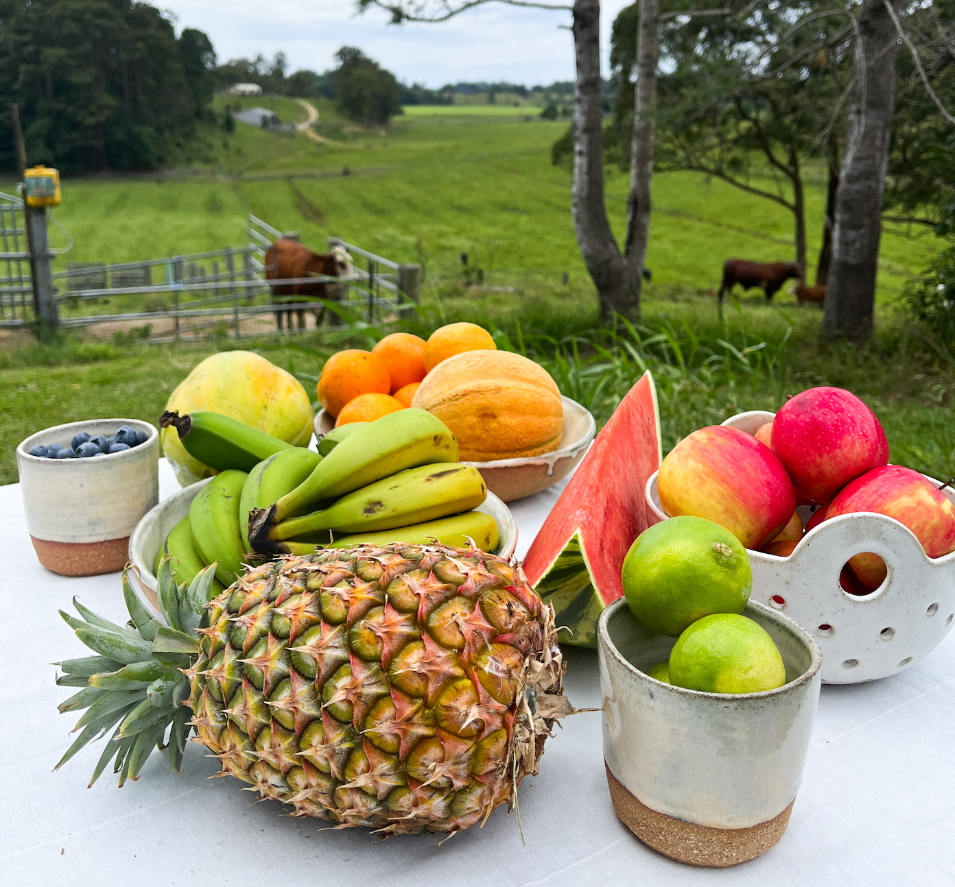 *6. Organic FRUIT Box (LARGE) - Seasonal Mix Of Organic Fruit