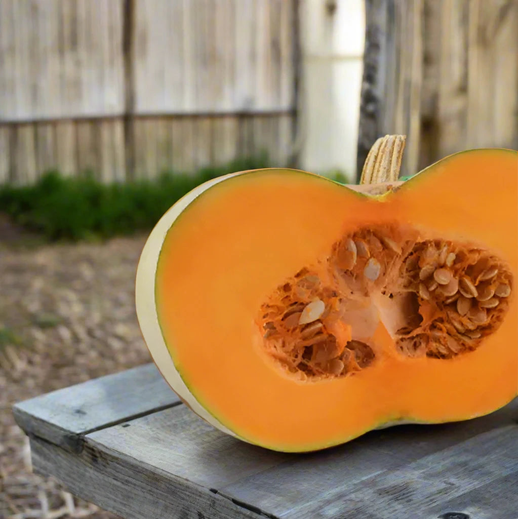 Pumpkin Kent (Japanese) approx 750g - Certified Organic Pumpkin