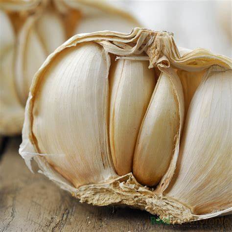 Garlic Ukrainian ( Larger Cloves) - Certified Organic Garlic 100g