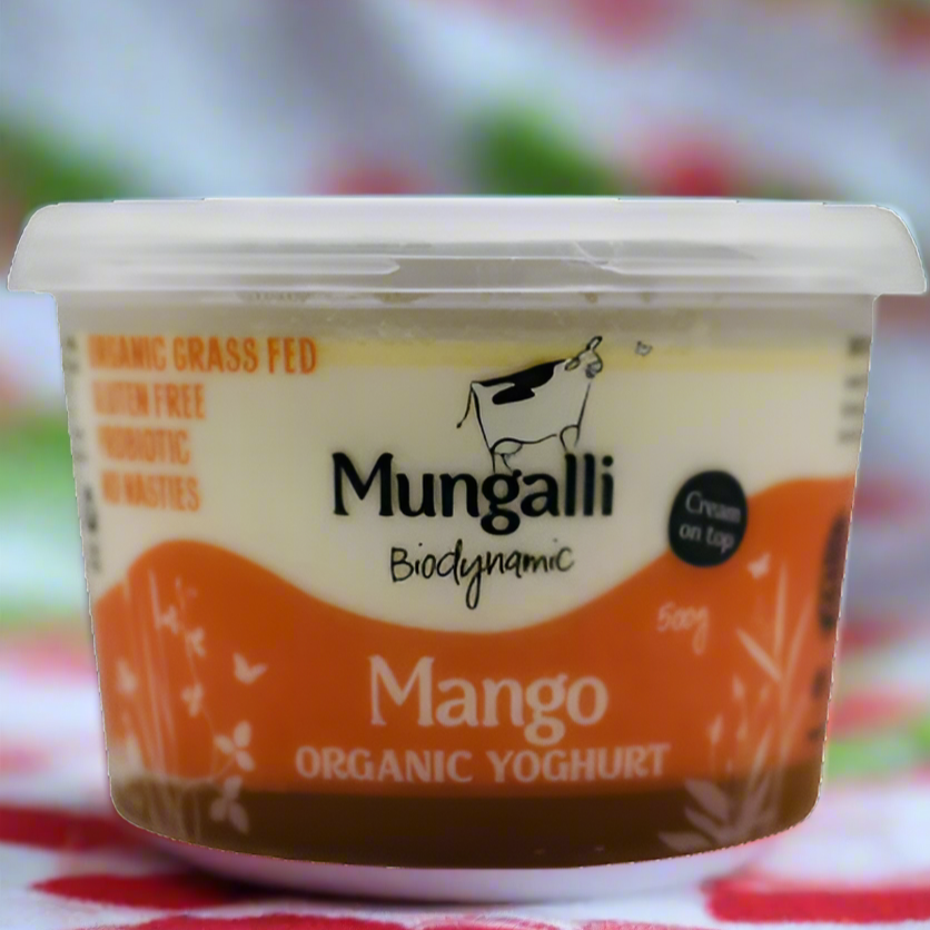 Organic Yoghurt – Mango 500g MUNGALLI CREEK DAIRY