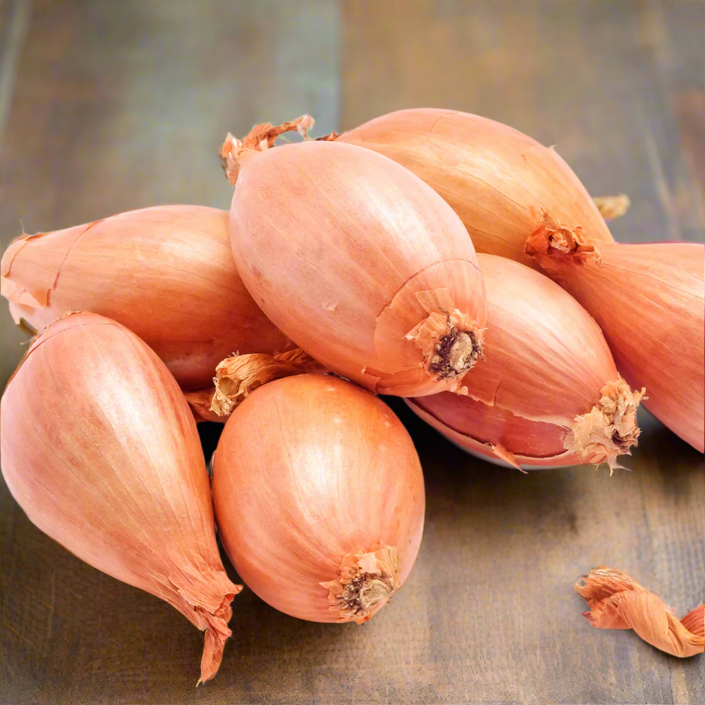 ONION E-SHALLOT BROWN 500G- Certified Organic Onions