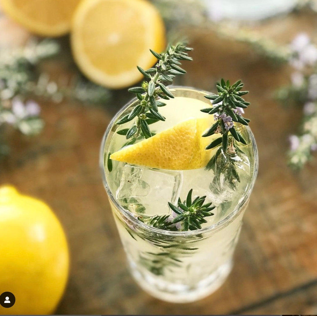 Rosemary Lemonade Shrub 200ml - Pyewacket's Traditional