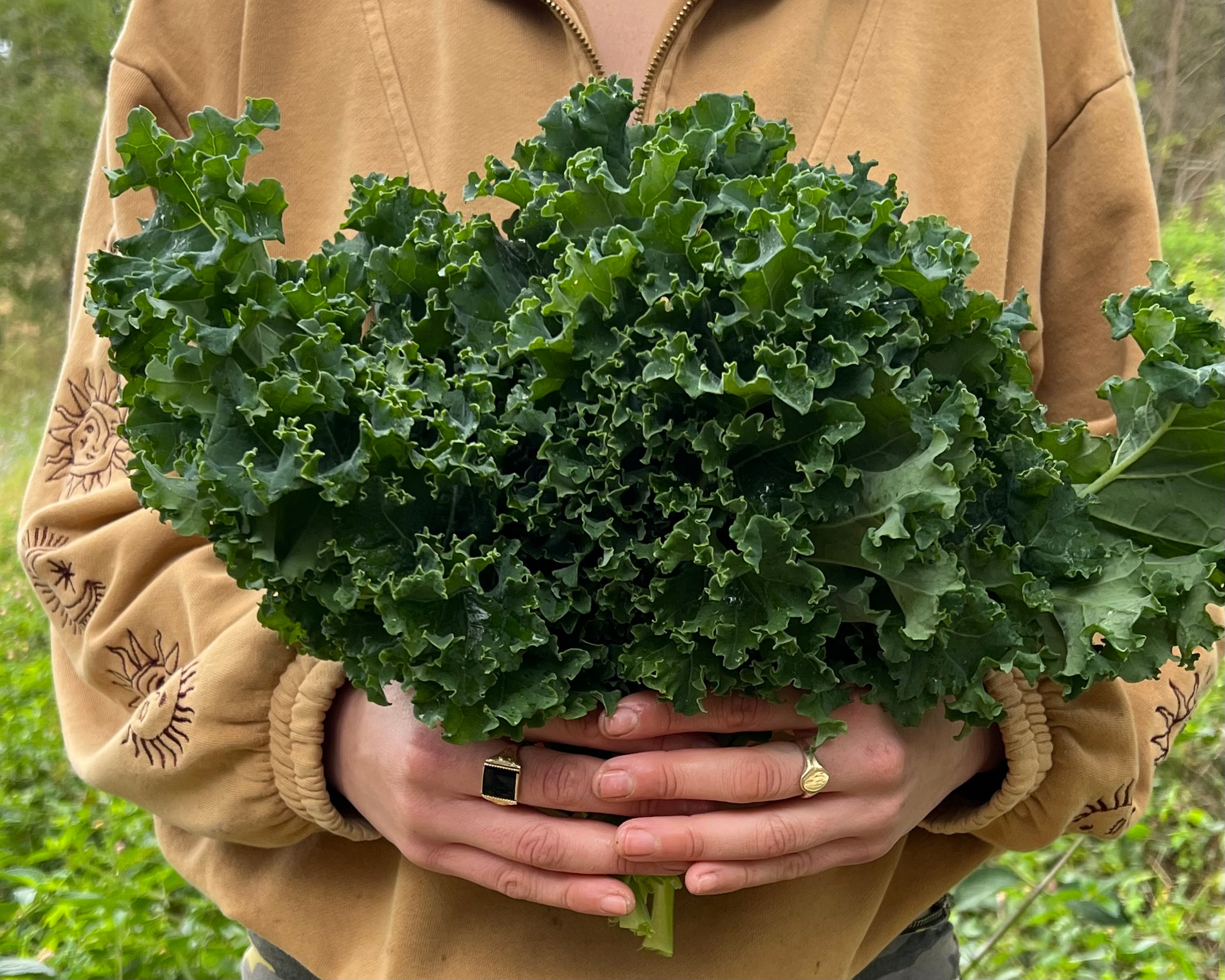 organic kale from The Farmers Store grown by Farmer Foster