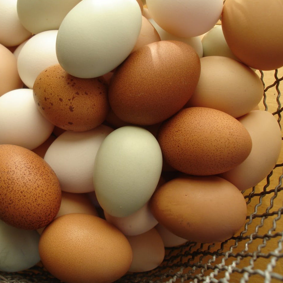 Eggsciting & Limited **  The Nest's  Fresh Farm Eggs  - Mixed Sizes