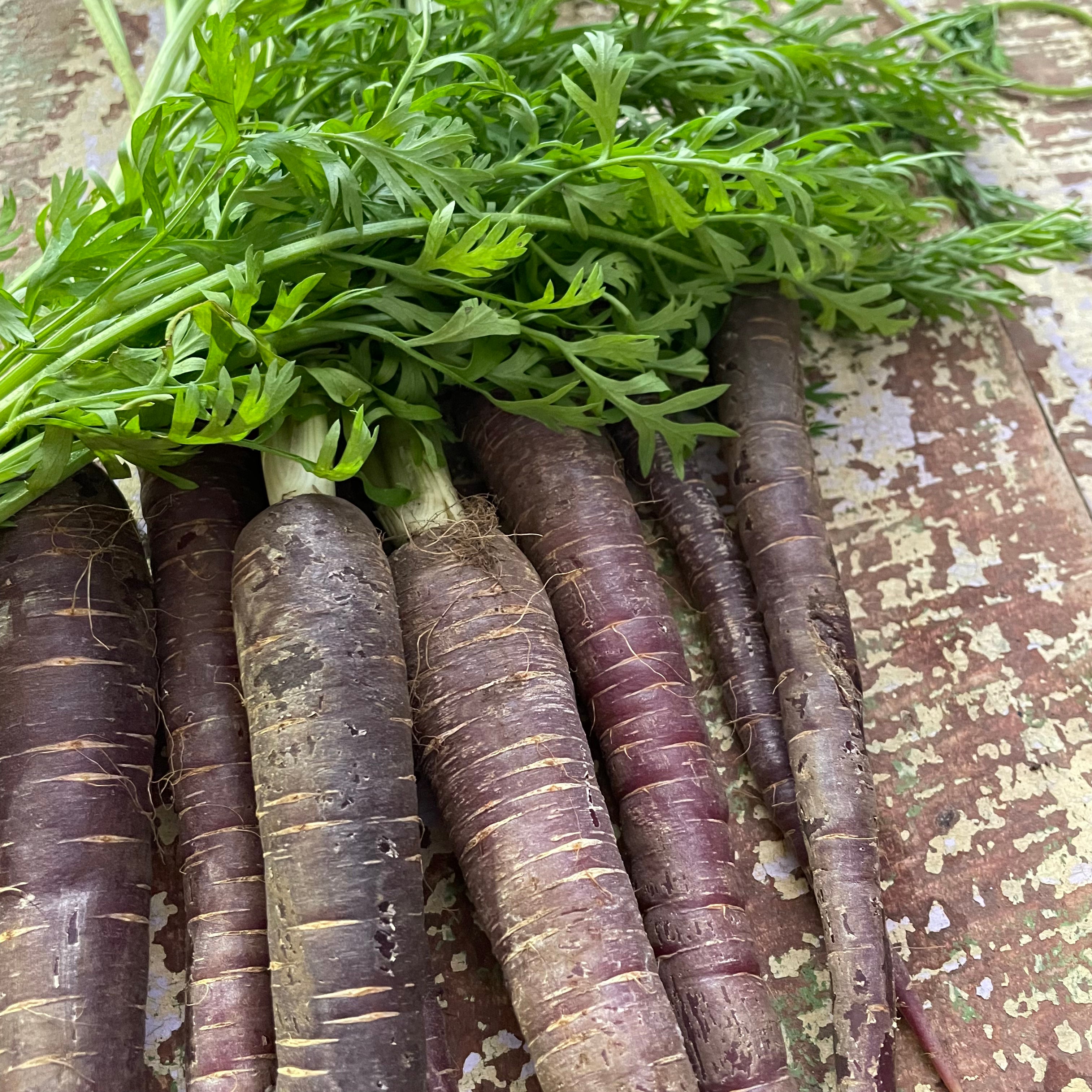 Carrots Purple (loose- tops off) 500g - Certified Organic Carrots