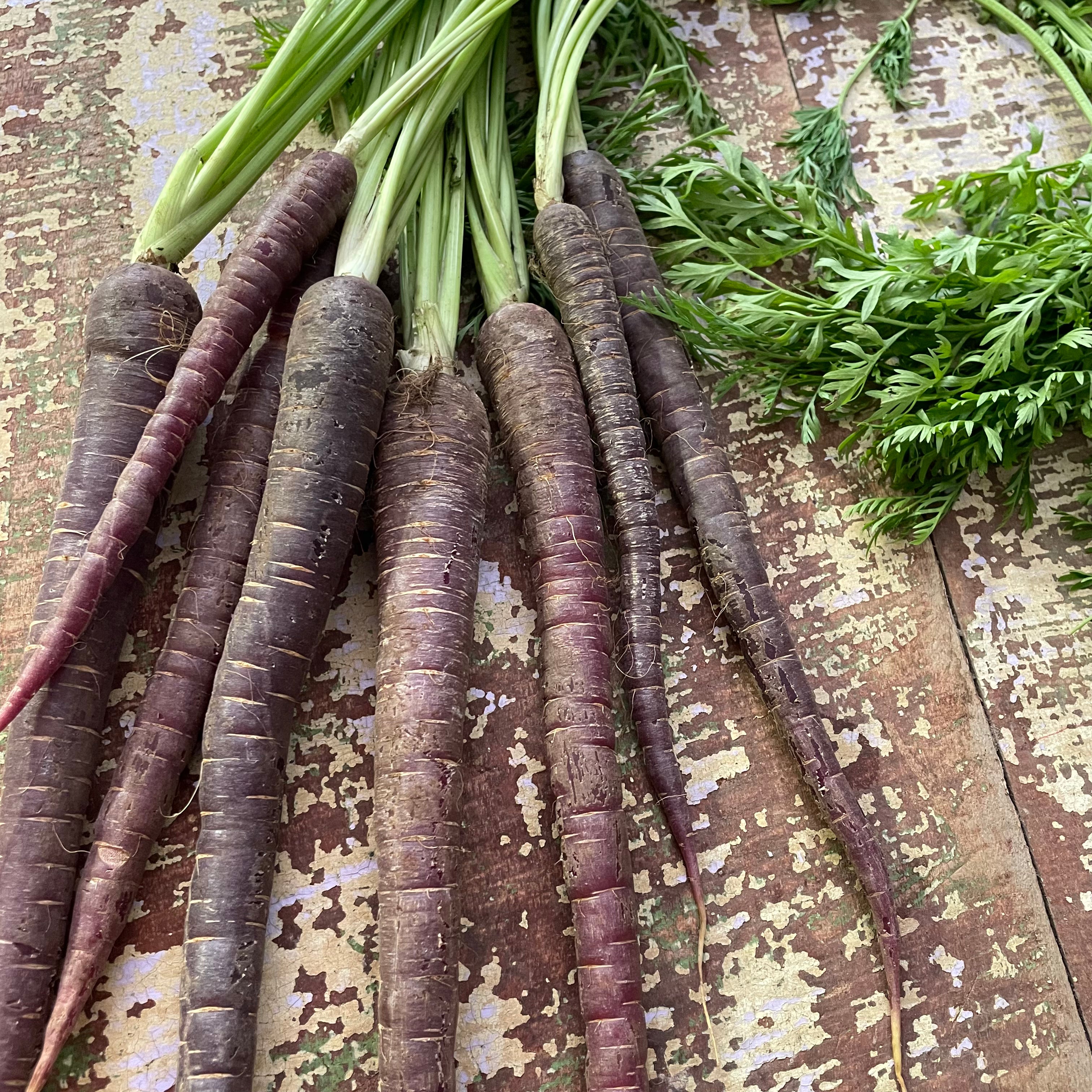 Carrots Purple (loose- tops off) 500g - Certified Organic Carrots